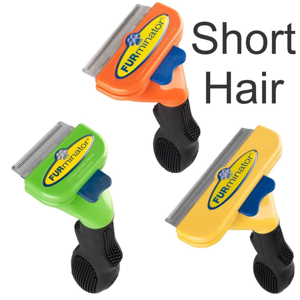 Furminator Deshedding Tool Short Hair Dog Pittapatta Boutique