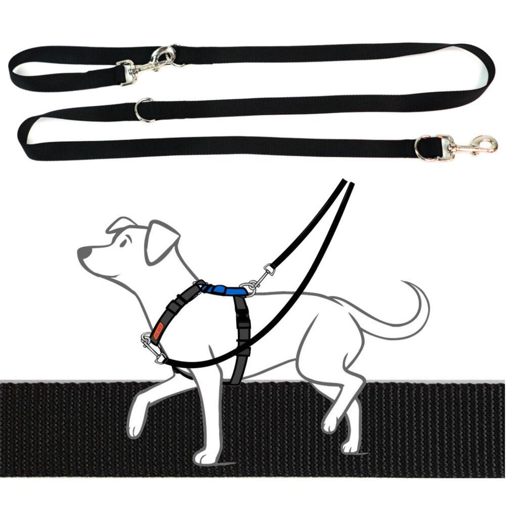 Falling Leaves Double Connection Leash - EarthStyle