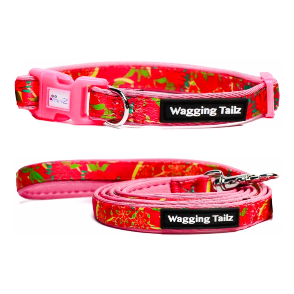 miniZ Poppy Pink Lead Collar Set Small Large 19 34cm PittaPatta Boutique