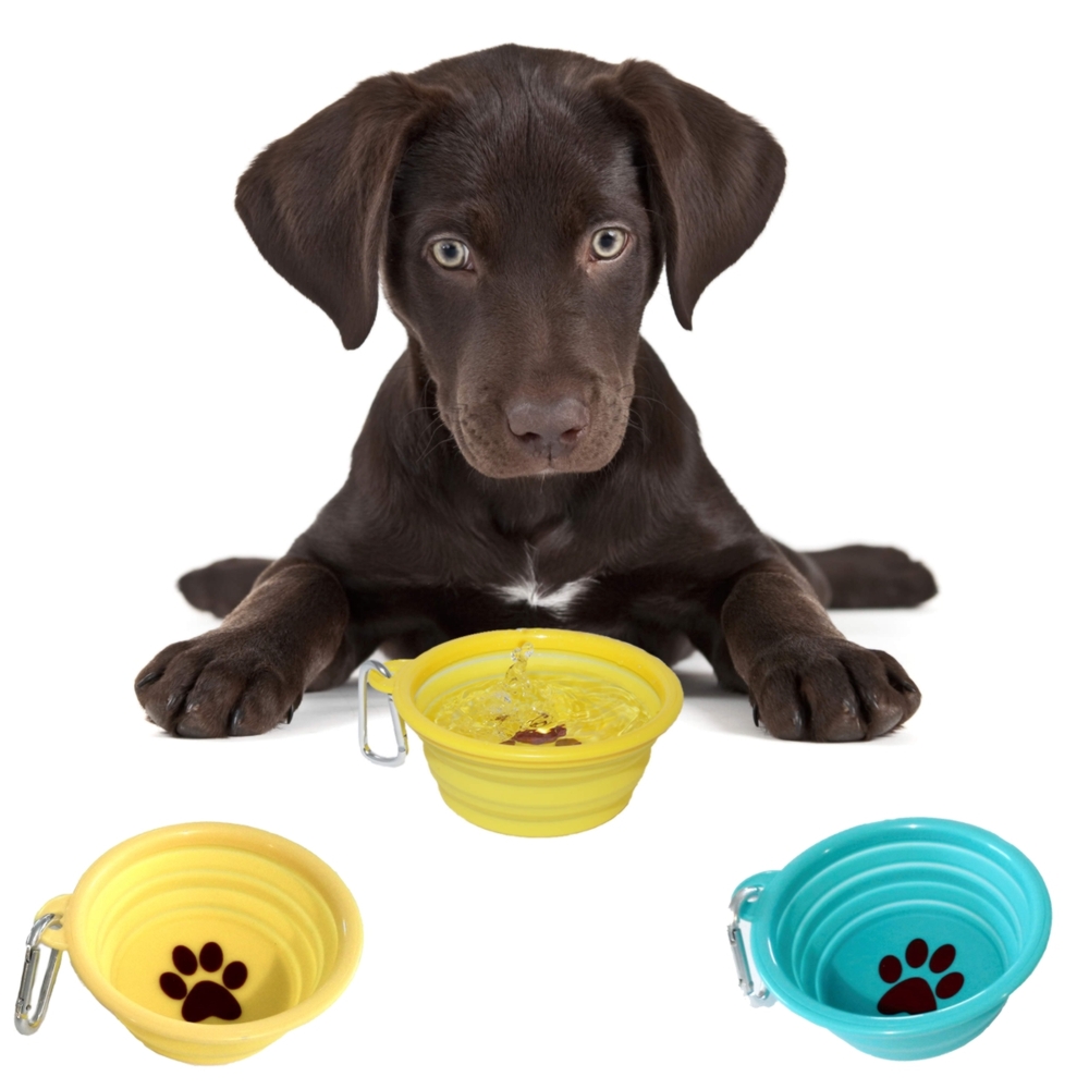 Portable clearance water bowl