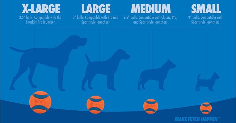 choosing the right ball size for your dog