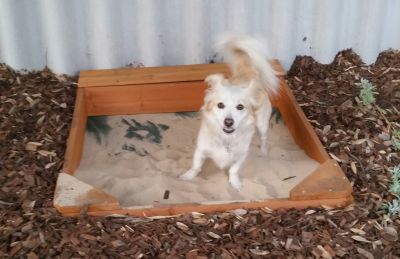 How to build your dog a sand pit