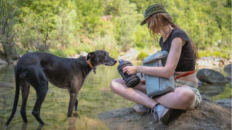 Hiking with your dog