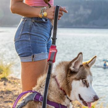 Hiking with your dog, waste bags