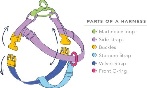 Freedom No Pull harness components