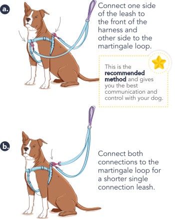 Freedom No Pull harness lead connections