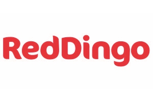 RedDingo