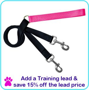 Add a Training lead and save