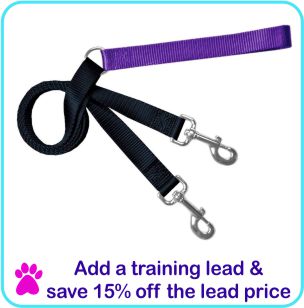 Add a Training lead and save