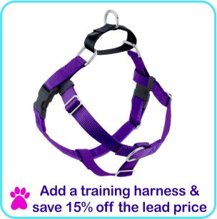 Add a training harness and save