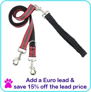 Add a Euro lead and save