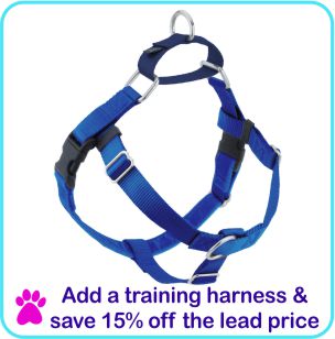 Add a training harness and save