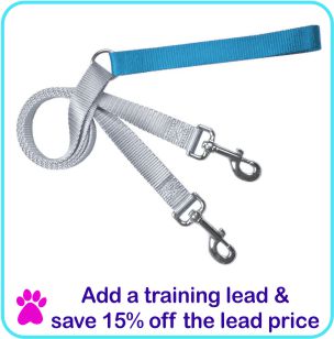 Add a Training lead and save