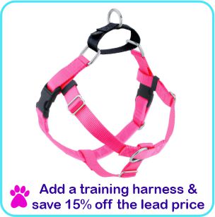 Add a training harness and save