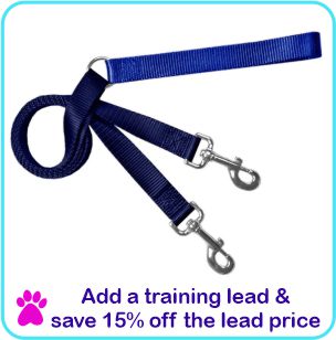 Add a Training lead and save