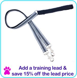 Add a Training lead and save