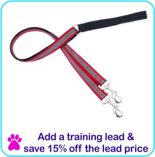 Add a Training lead and save