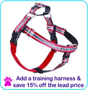 Add a training harness and save