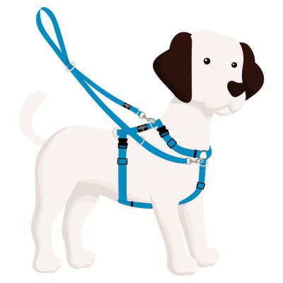 4Pooch Control Harness and Multi-function Lead