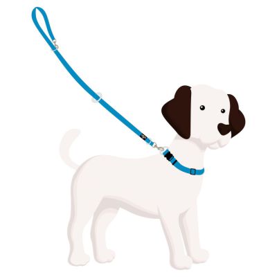 4Pooch Multi-Function Lead long 