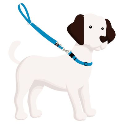 4Pooch Multi-Function Lead short