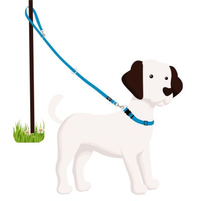 4Pooch Multi-Function Lead tether
