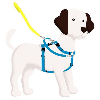 4Pooch Control Harness and Connector Lead