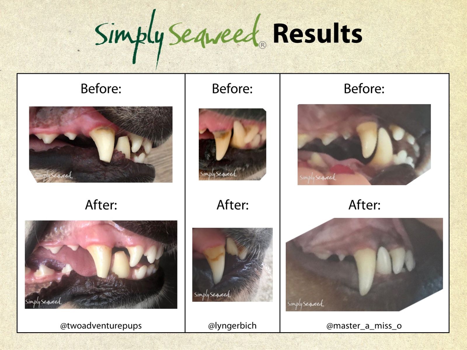 Simply Seaweed before and after