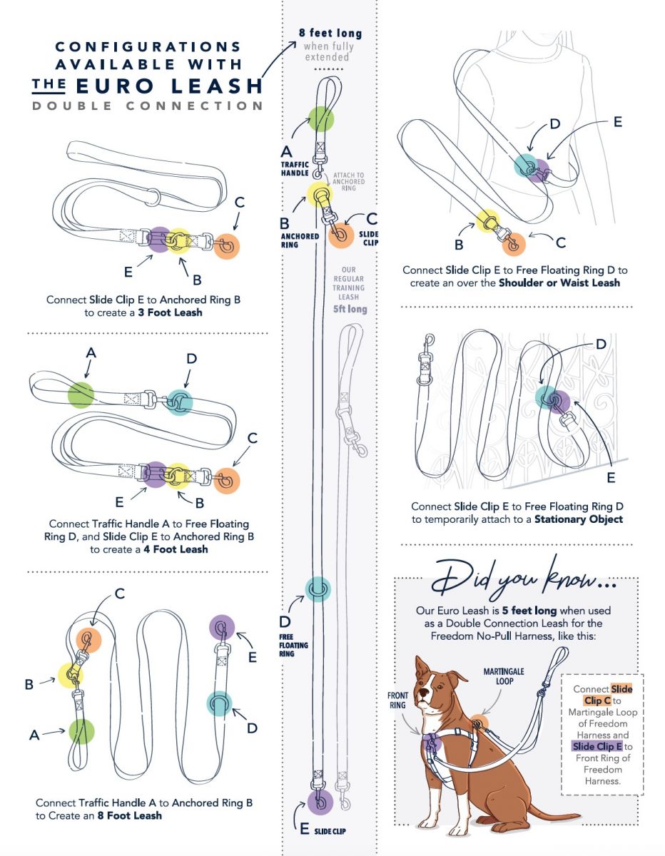 Euro Dog Leash Double Connection Instructions