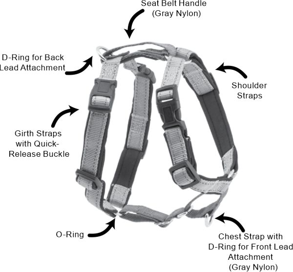 Petsafe 3 in 1 harness diagram