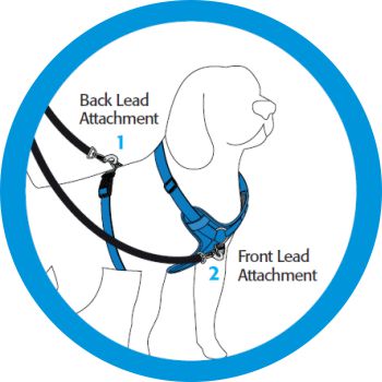 Rogz Control Harness Lead attachements