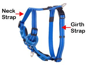 Rogz Control Harness Fitting Diagram