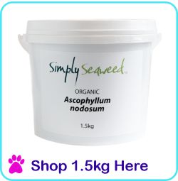 Shop 1.5kg Simply Seaweed here