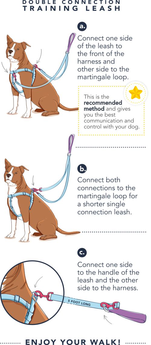 Freedom Training Lead Instructions