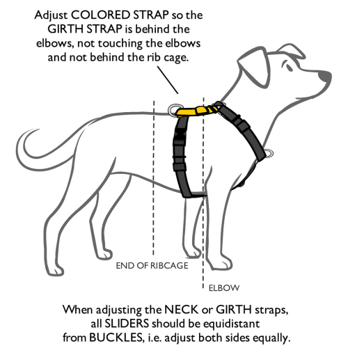 Blue-9 Balance Harness fitting instructions