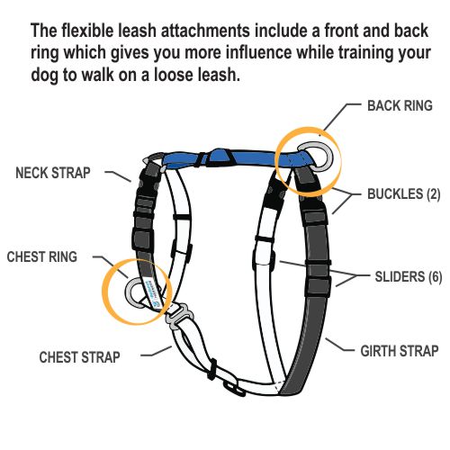 Blue-9 Balance Harness fitting instructions