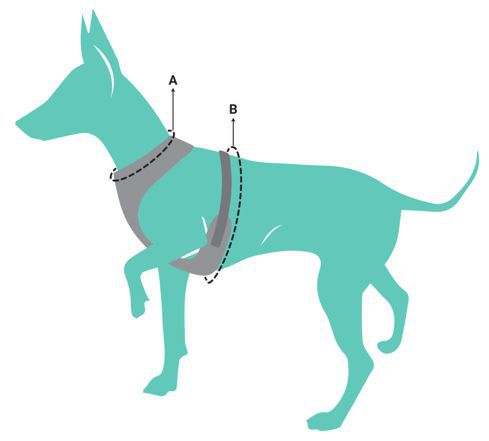 Fuzzyard Harness Measuring Instructions