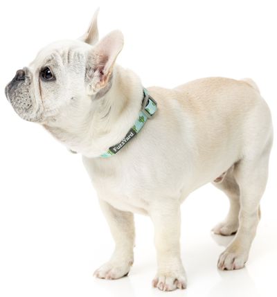Fuzzyard Tucson Collar