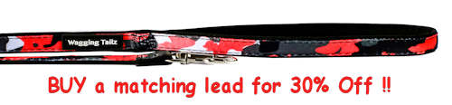 Buy a Matching Lead for 30% OFF!
