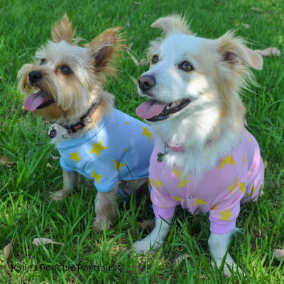 Molly and Sasha in Pyjamas