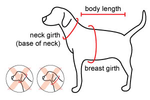 puppia-measurements.jpg