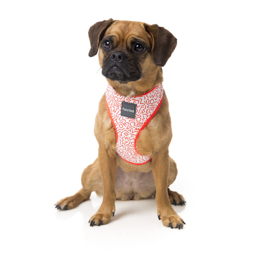 Fuzzyard Scramble Harness