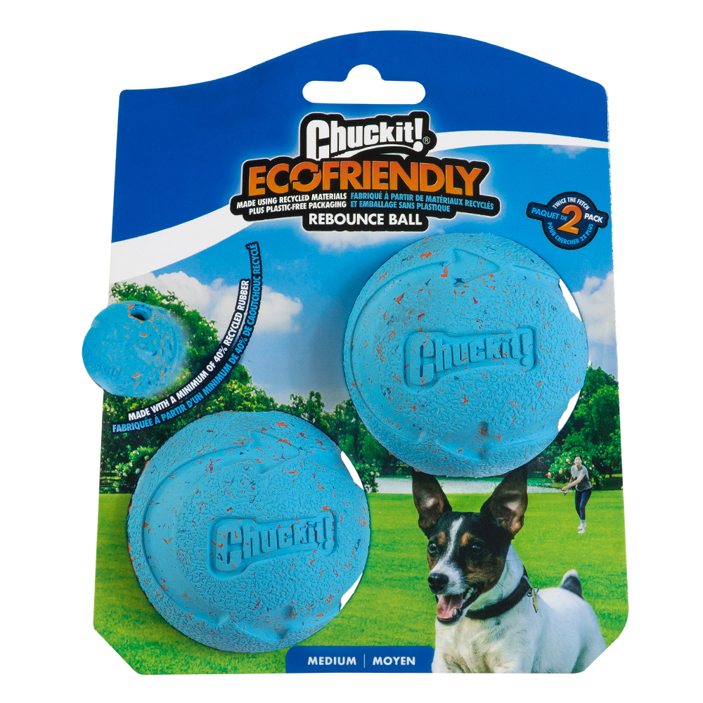 Chuckit! Rebounce Fetch Dog Ball (Medium, 2 Pack)