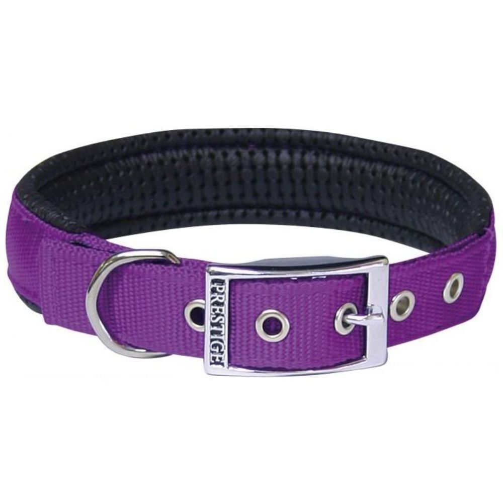 Prestige Soft Padded Collar 1" Purple 51cm - 76cm