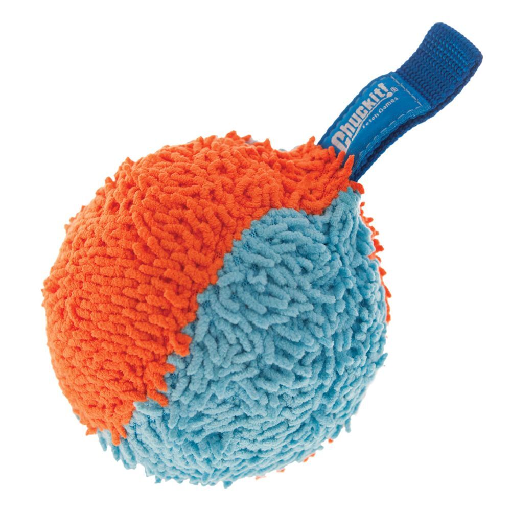 Chuckit! Indoor Shaker Ball Dog Toy