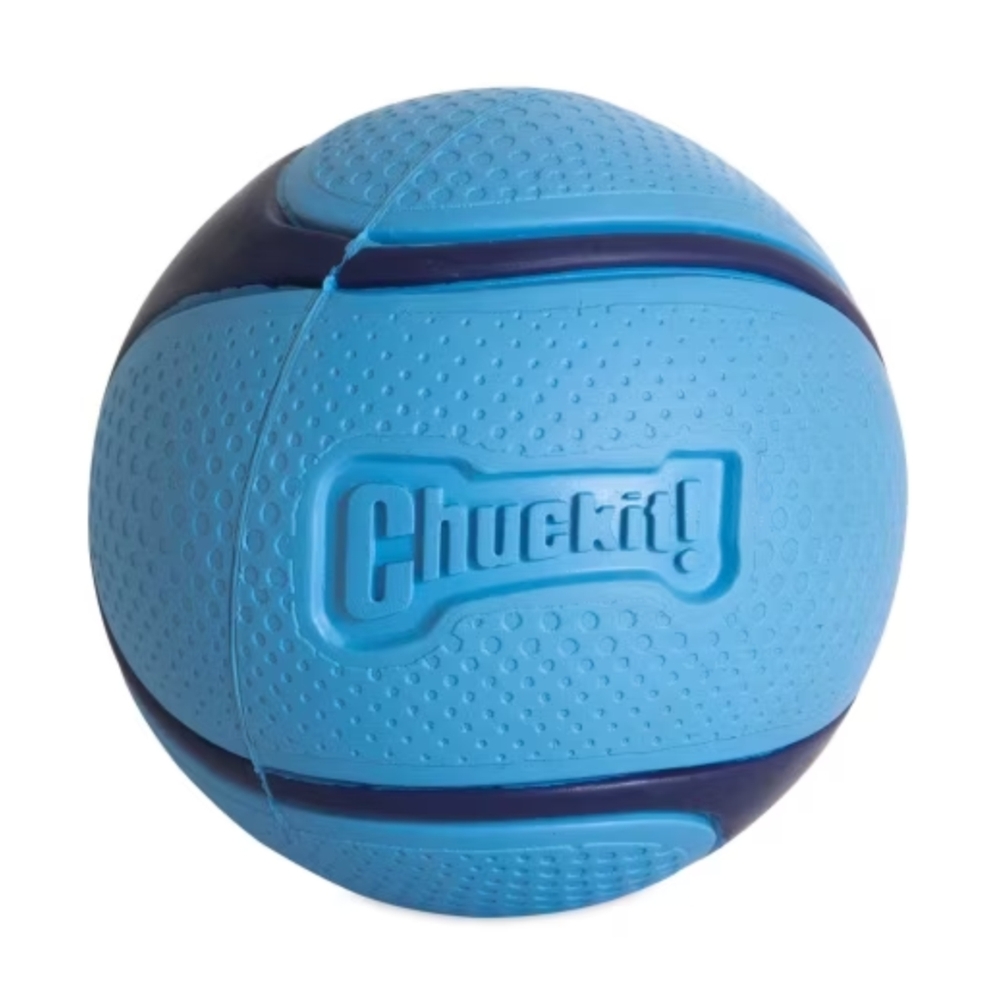 Chuckit! Sniff Fetch Dog Ball Bacon Medium