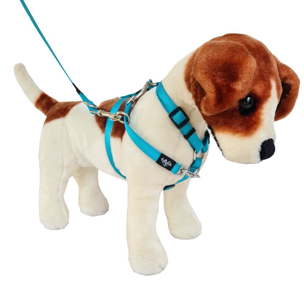 4Pooch Control Harness & Connector Lead Bondi Blue XS, S, M, L, XL