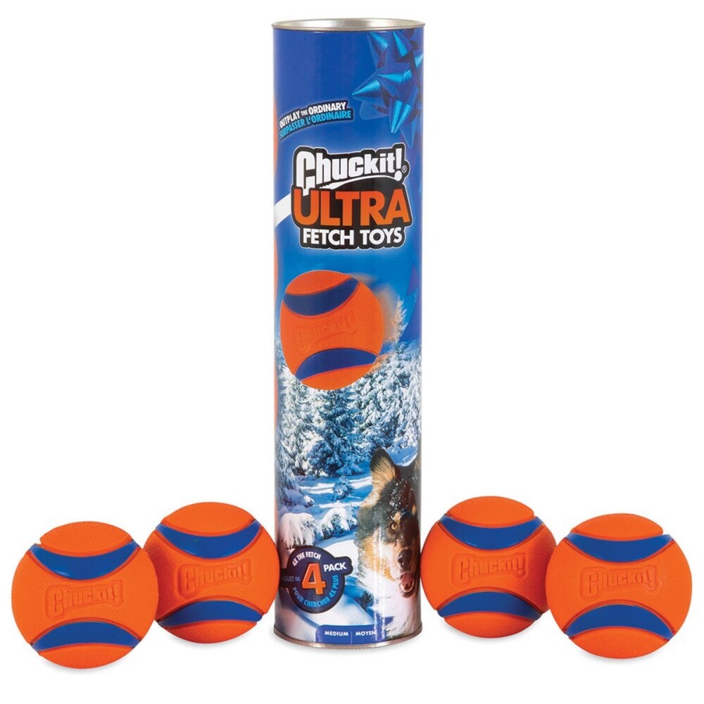 Chuckit! Ultra Ball Canister of 4 Medium Dog Ball
