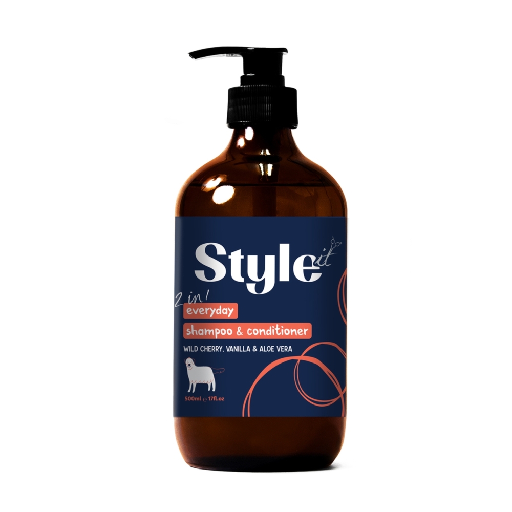 Style It 2 in 1 Everyday Shampoo & Conditioner 