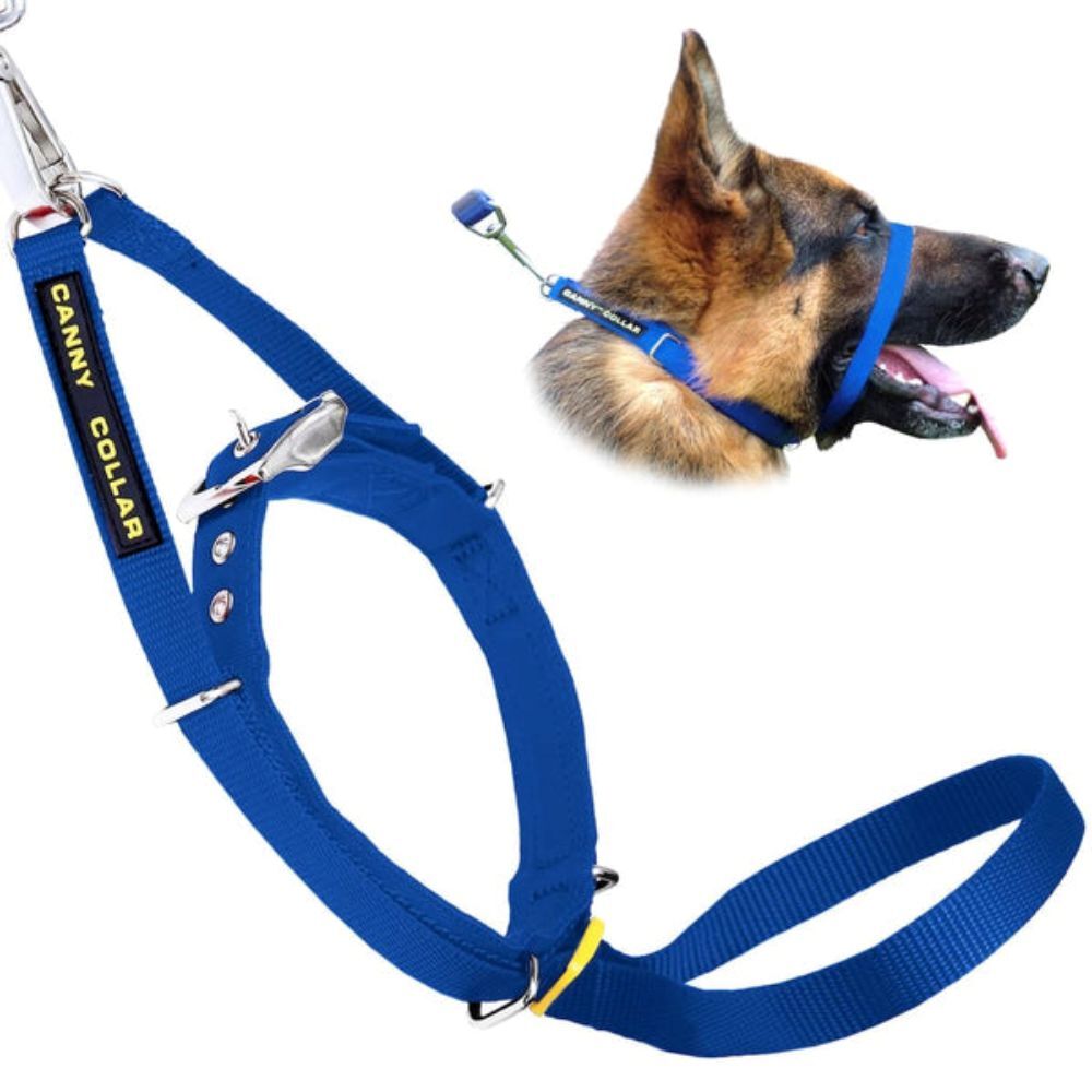 Canny Collar Dog Head Halter - Blue | Train Your Dog Not To Pull